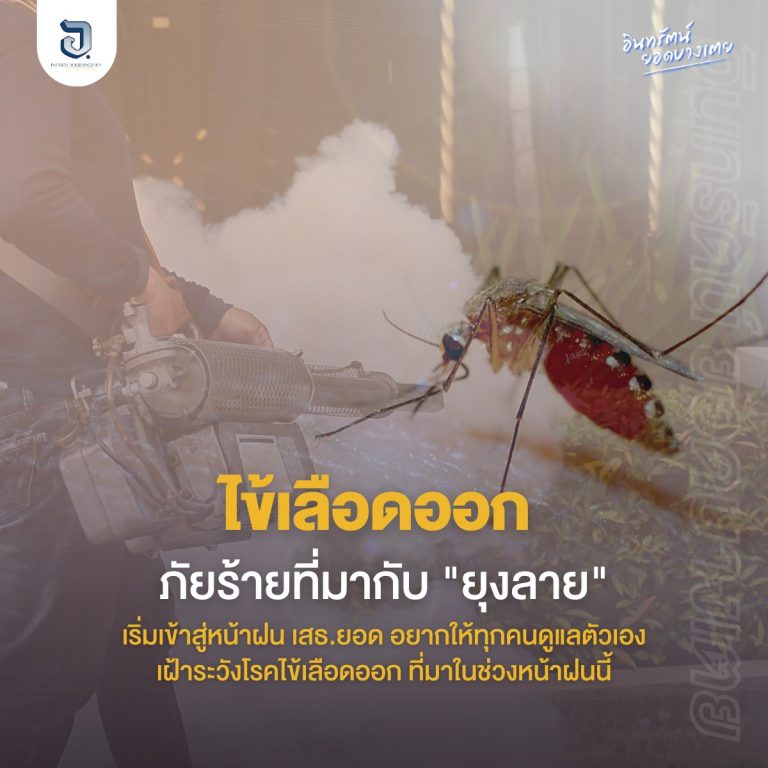 เสธ.ยอด อยากให้ทุกคนดูแลตัวเอง และเฝ้าระวังการเกิดโรคไข้เลือดออกไว้ตลอด