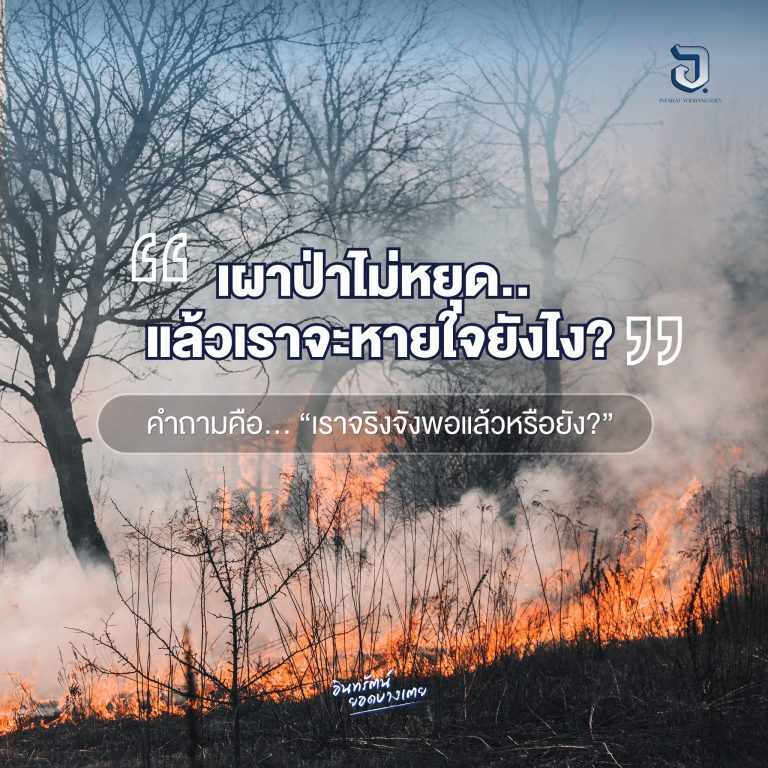 “เผาป่าไม่หยุด… แล้วเราจะหายใจยังไง?”